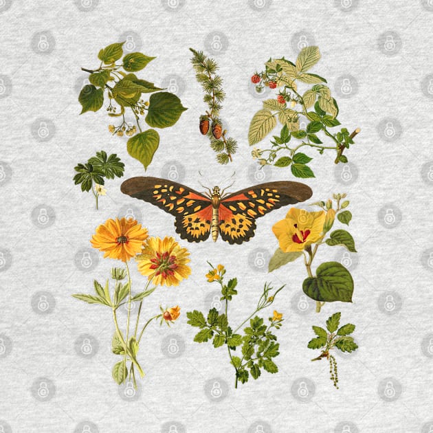 Cottagecore Vintage Plants and Butterfly by Souls.Print